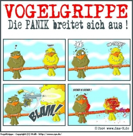 11111.jpg