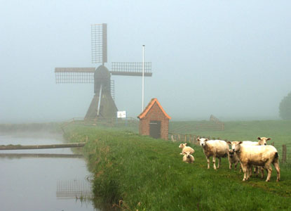 843298_src_path4.jpg