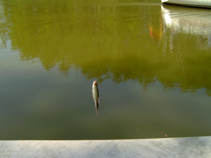 IMAG0062.JPG