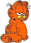 animated-gifs-cats-025.gif