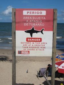 boa-viagem-shark-warning-1.jpg