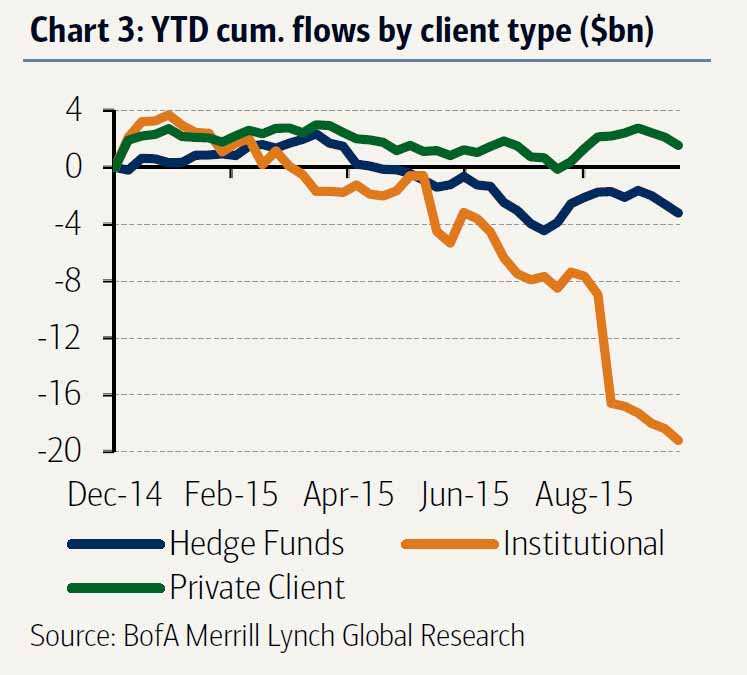Der USA Bären-Thread 868039