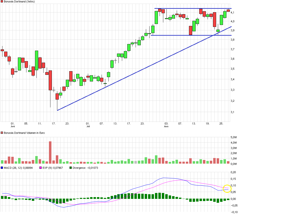 Wikifolio Trend & Fundamental von Halbprofi87 853061