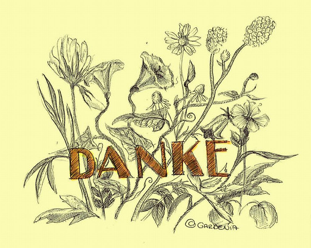 danke_kroesus1.jpg