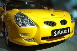 Dongfeng Motor 121848