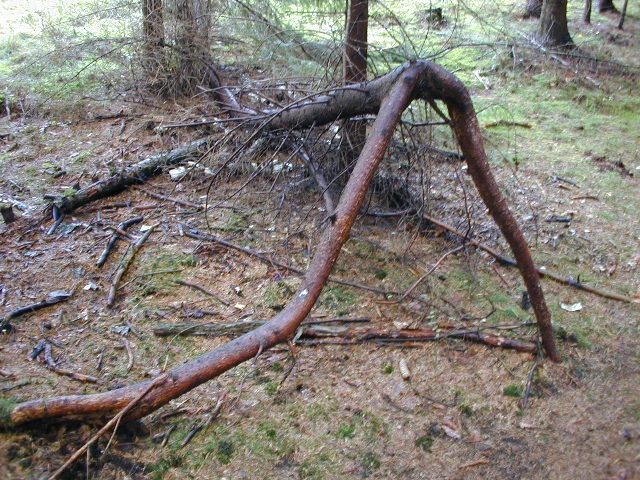 erodig.jpg