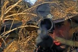 Der Öl 1000$ Thread 206324