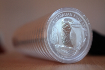 kookaburra_2012_smal.jpg