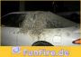 lustige Bilder - FunFire