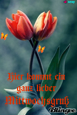 mittwoch_2.gif