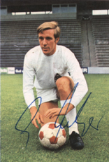 netzer_mini.jpg