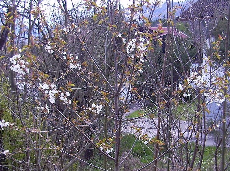 oo0021101_022.jpg