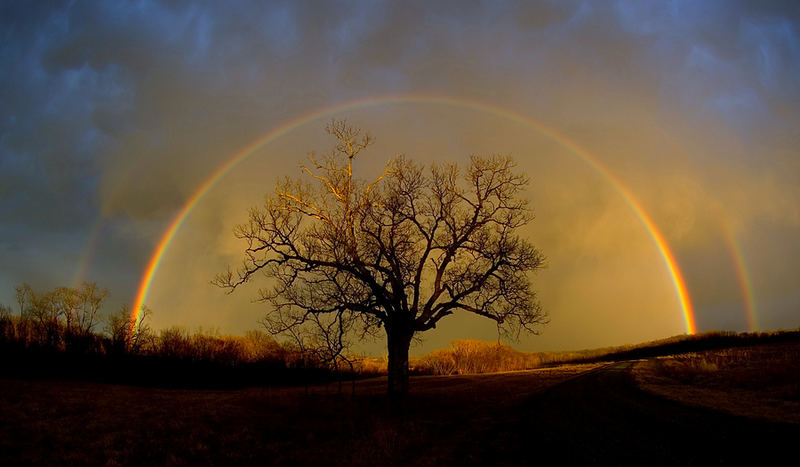 regenbogen.jpg