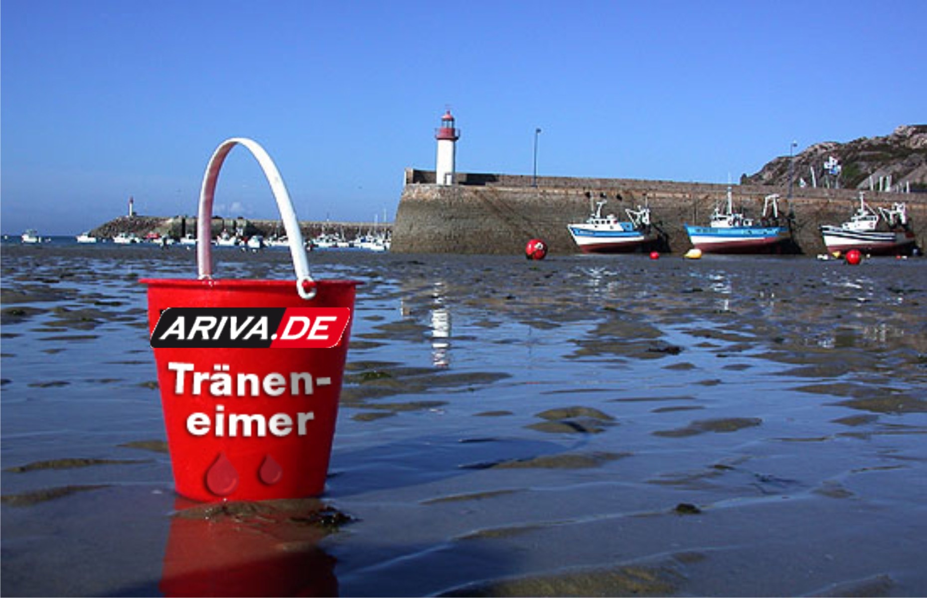 Aqua Society neuer Hype?? 12608397