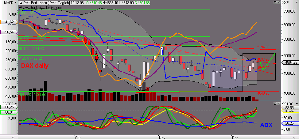 Die Bullen scharren gar nicht mit den Hufen, 204712