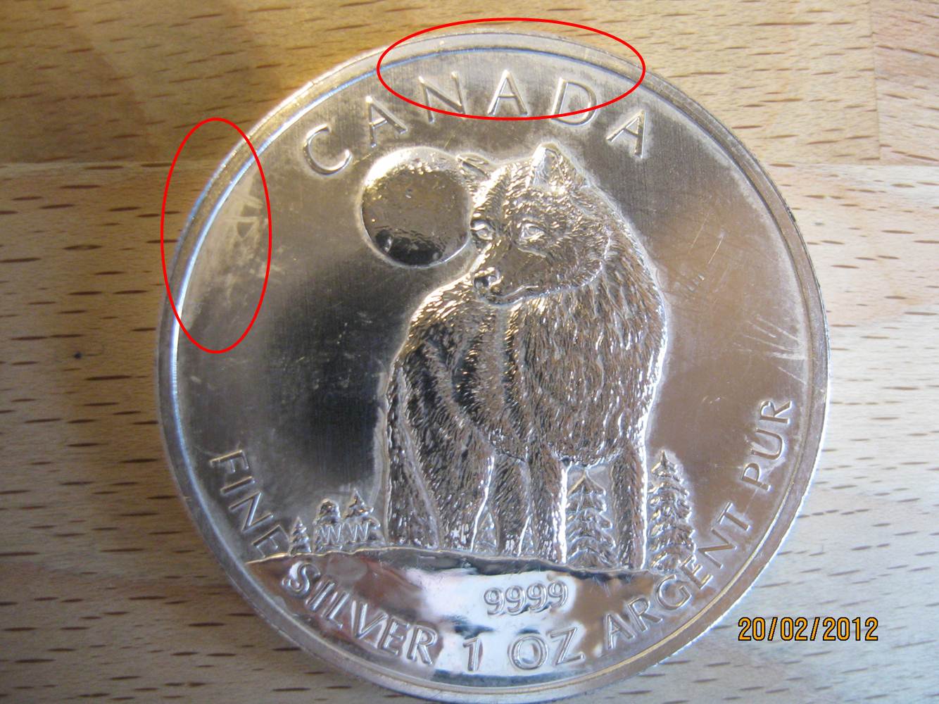 wolf.jpg