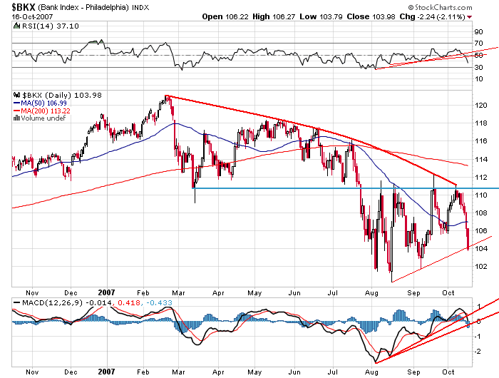 Der USA Bären-Thread 125834