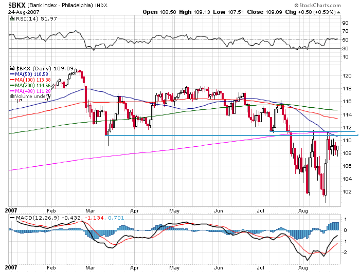 Der USA Bären-Thread 116676