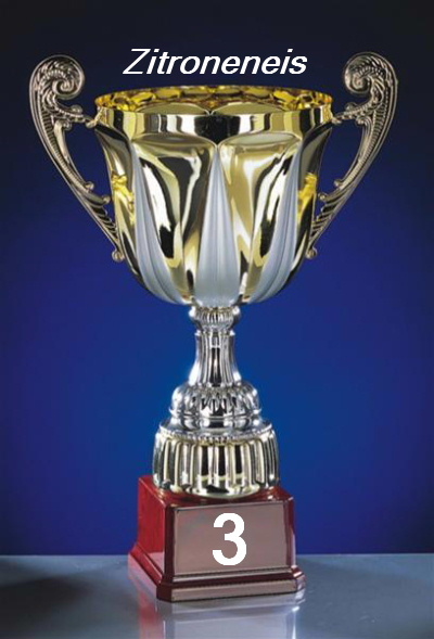 755.DAX Tipp-Spiel, Mittwoch, 02.04.08 157502