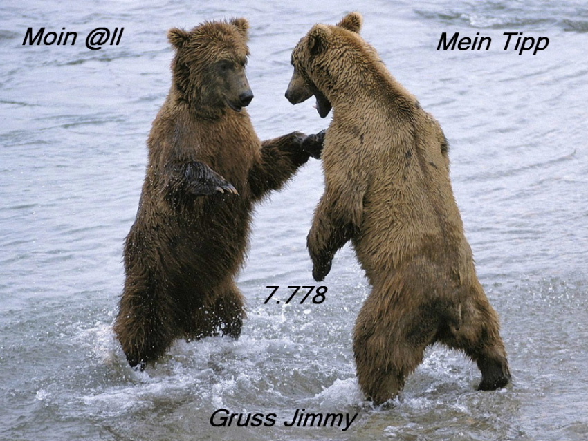 687.DAX Tipp-Spiel, Mittwoch, 19.12.07 137581