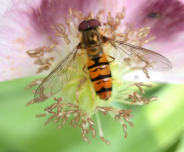 752.DAX Tipp-Spiel, Freitag, 28.03.08 156997