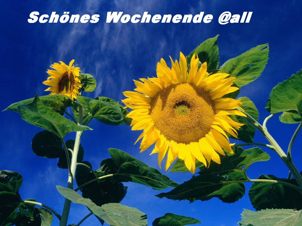 982.DAX Tipp-Spiel Montag,23.02.09.17.45 Uhr 217779