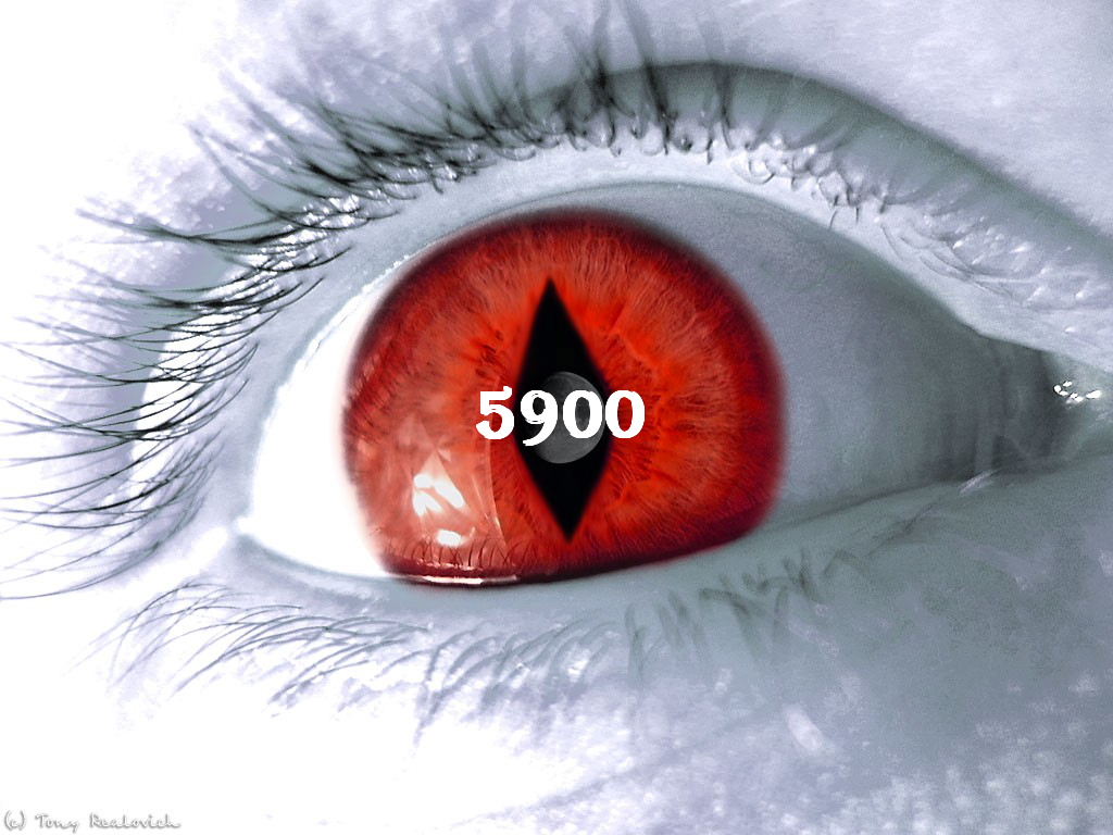 1.325.DAX Tipp-Spiel, Mittwoch, 30.06.10 329529