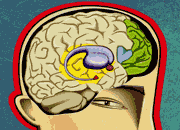 MyHammer - Europe 66664