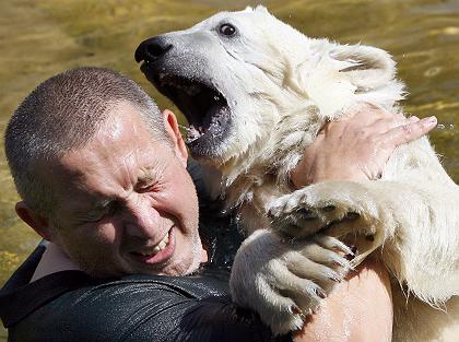 Der USA Bären-Thread 105246