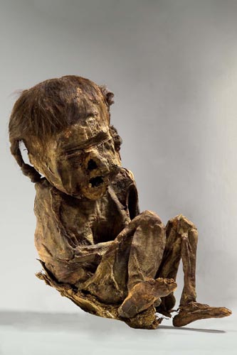 Der USA Bären-Thread 122243