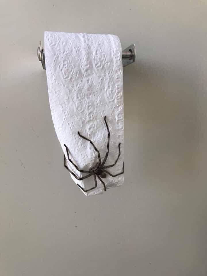 Wenn das Gold redet, dann schweigt die Welt! 1169454