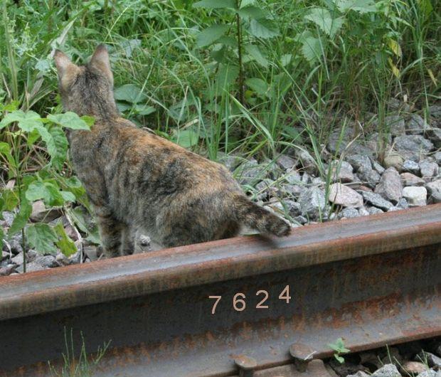 670.DAX Tipp-Spiel, Montag, 26.11.07 132986