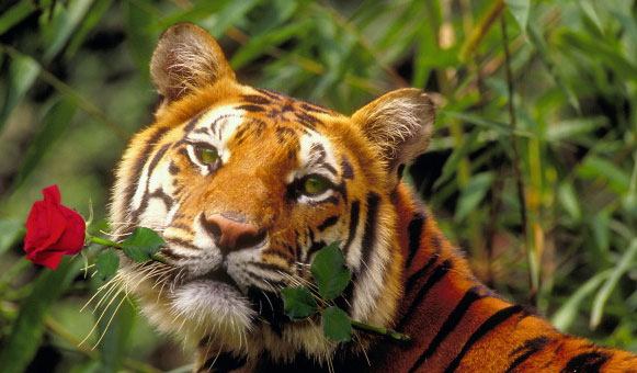 Travel24.comAG - lastminute24.de 60087