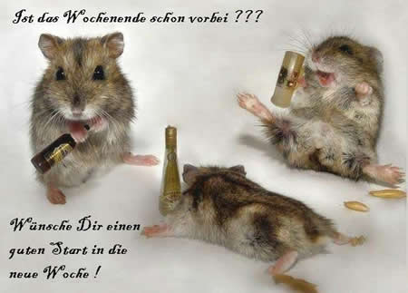 BIsher war Crash ! Beginnt morgen DAS GRAUEN ?? 192245