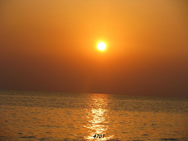 1027.DAX-Tipp-Spiel, Mittwoch 29.04.09 229768