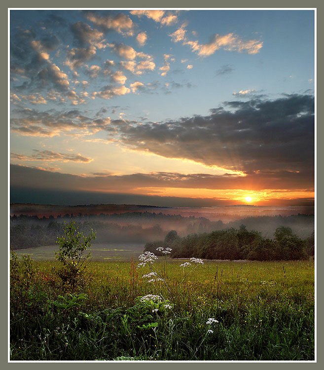 423.DAX Tipp-Spiel, Dienstag, 05.12.06 70017