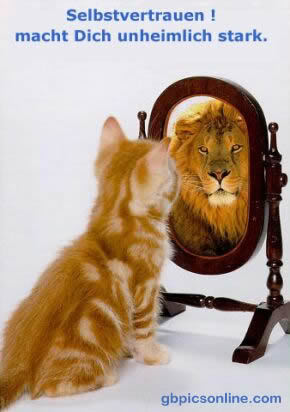 Conergy, wie Phönix aus der Asche ? 287845