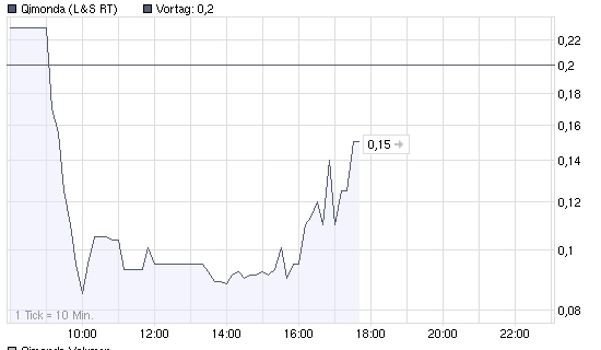 qimonda gerettet 212313
