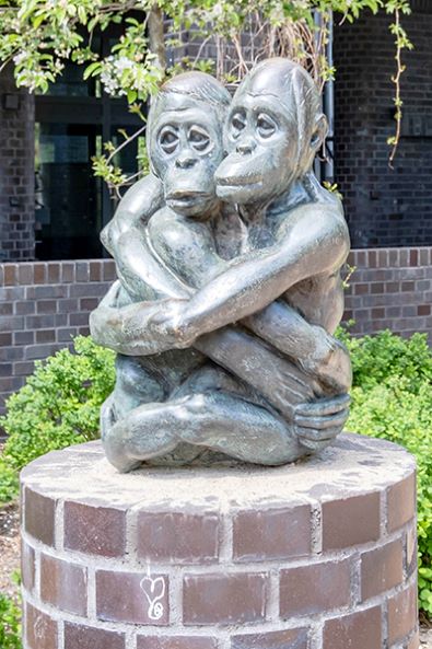 Steinhoff Informationsforum 1326742