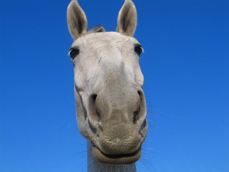 235.DAX Tipp-Spiel, Montag, 13.3.06, 17.45 Uhr, 32857