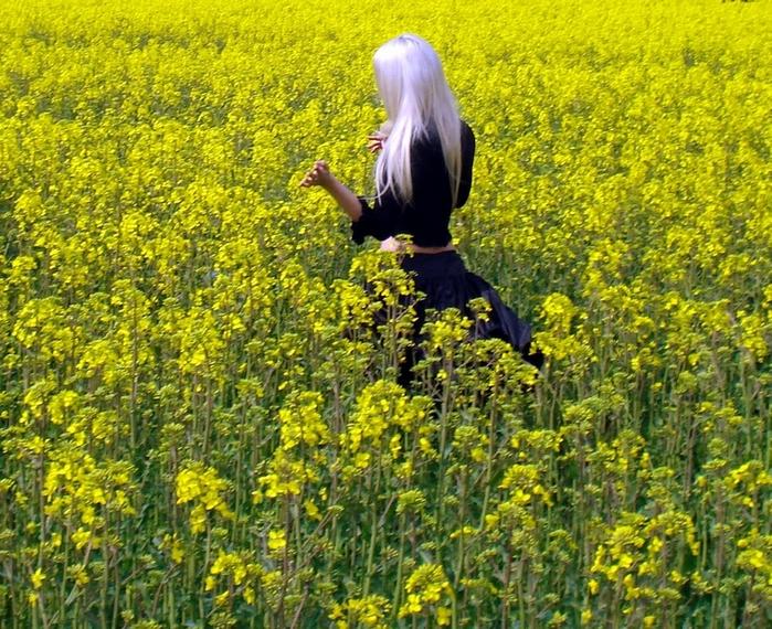 670.DAX Tipp-Spiel, Montag, 26.11.07 132952