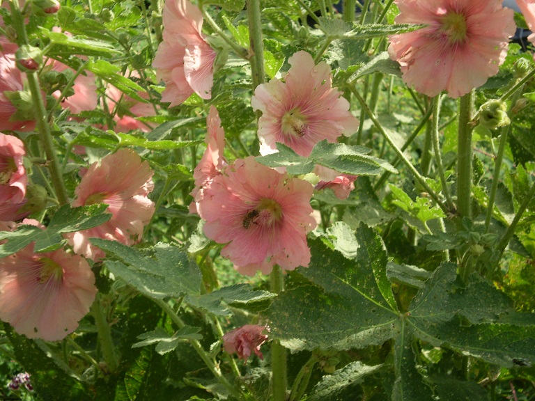 Gold traden - long bzw. short 910192