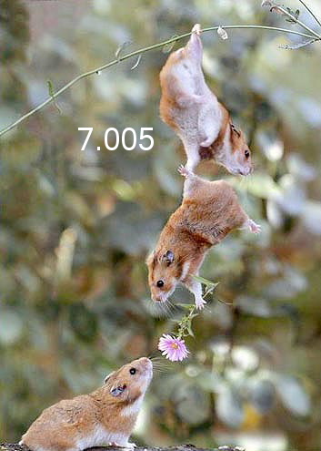 801.DAX Tipp-Spiel, Freitag, 04.06.08, 17:45 Uhr 167463