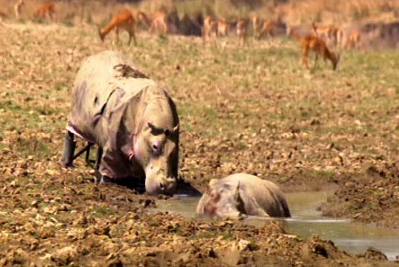 711.DAX Tipp-Spiel, Dienstag, 29.01.08, 17.45 Uhr, 144787