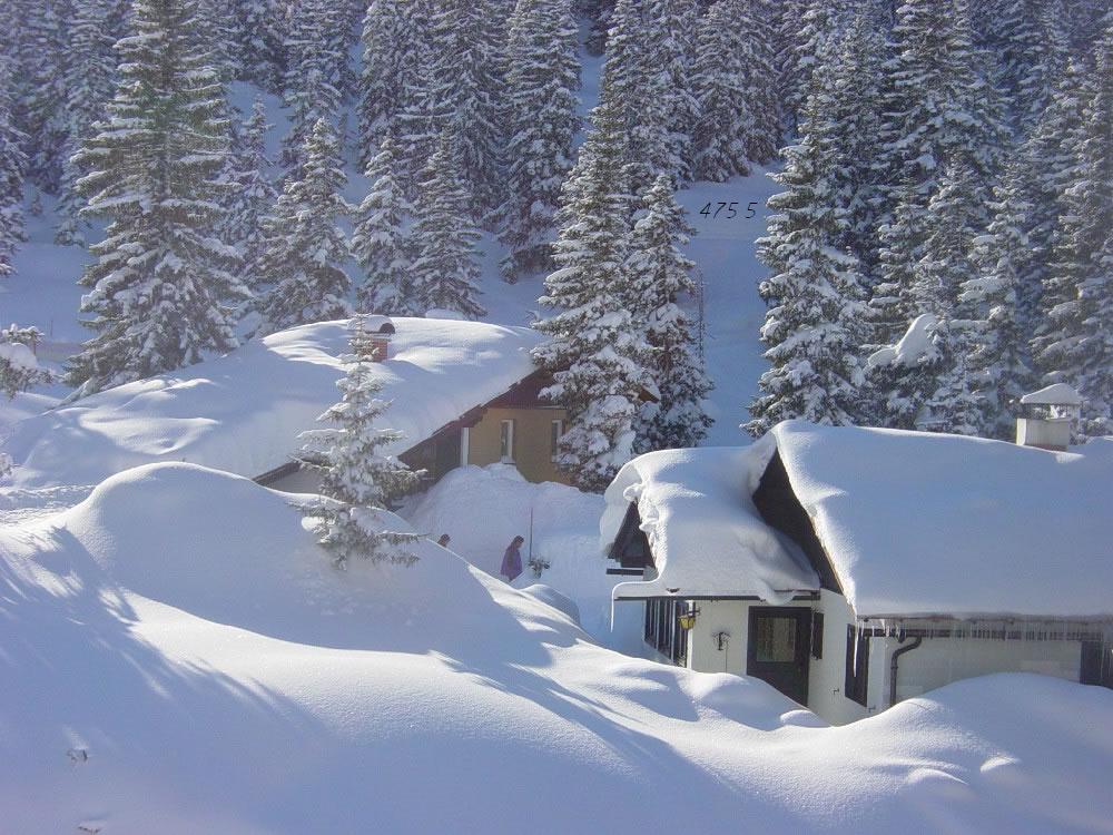 943.DAX Tipp-Spiel *Dienstag* 23.12.08, 17.45 Uhr 206900