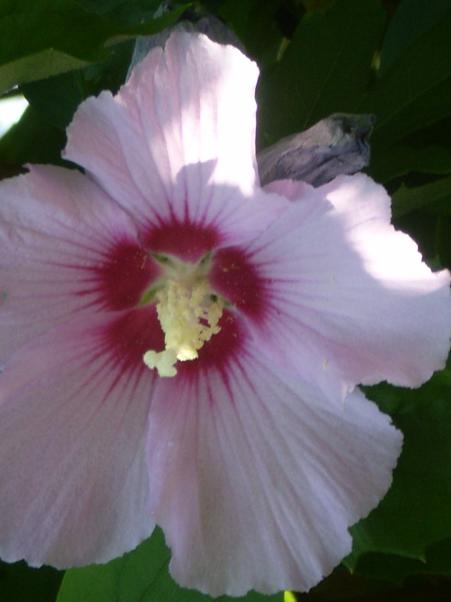 Gold traden - long bzw. short 847671