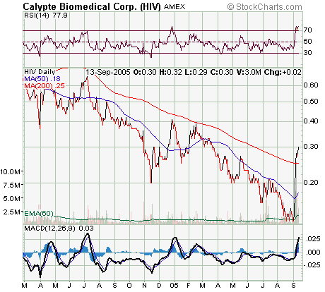 Calypte und die Zeit nach AIDS2004 in Bangkok 15456