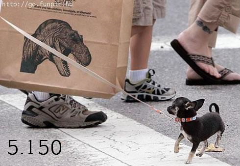 889.DAX Tipp-Spiel *Mittwoch* 08.10.08, 17.45 Uhr 190975