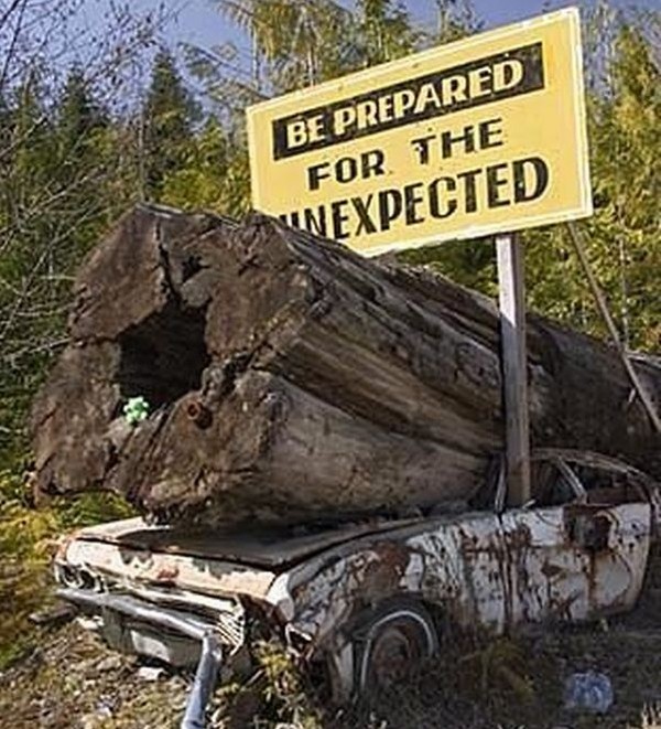 Das Bärengebrüll wird schon wieder lauter, 152228