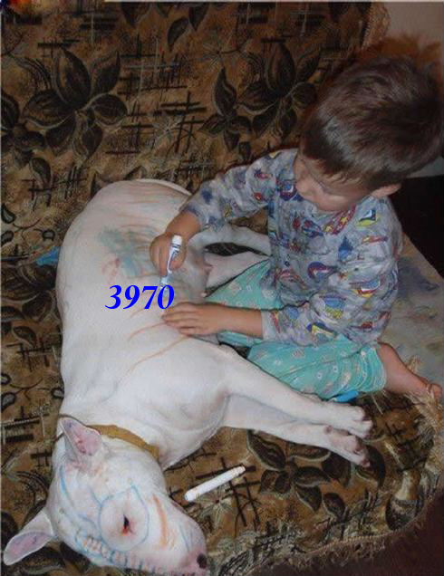 997.DAX Tipp-Spiel Montag,16.03.09.17.45 Uhr 222206